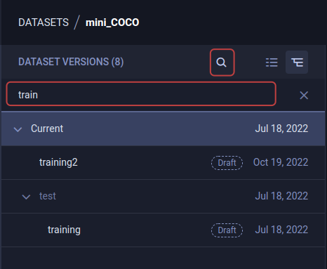 Dataset version search
