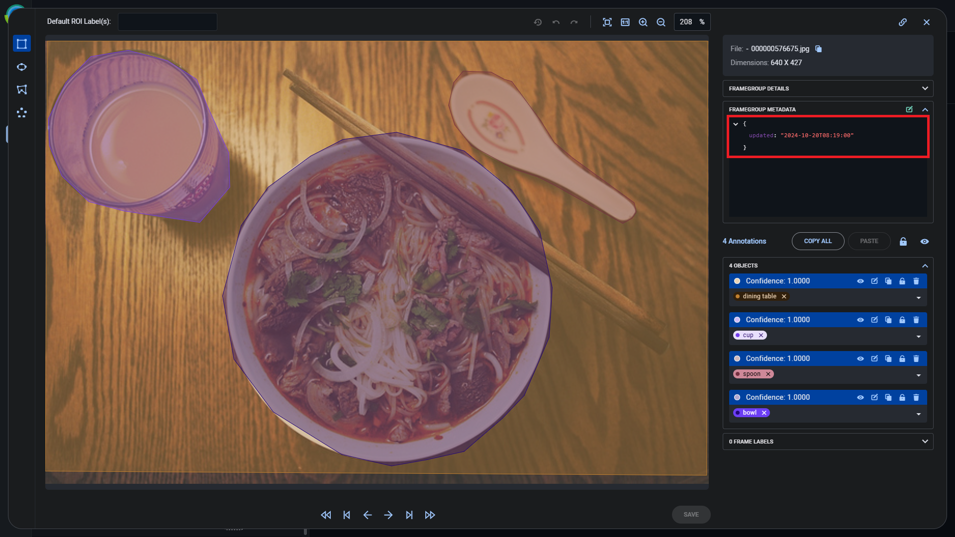 Frame datetime metadata in frame viewer