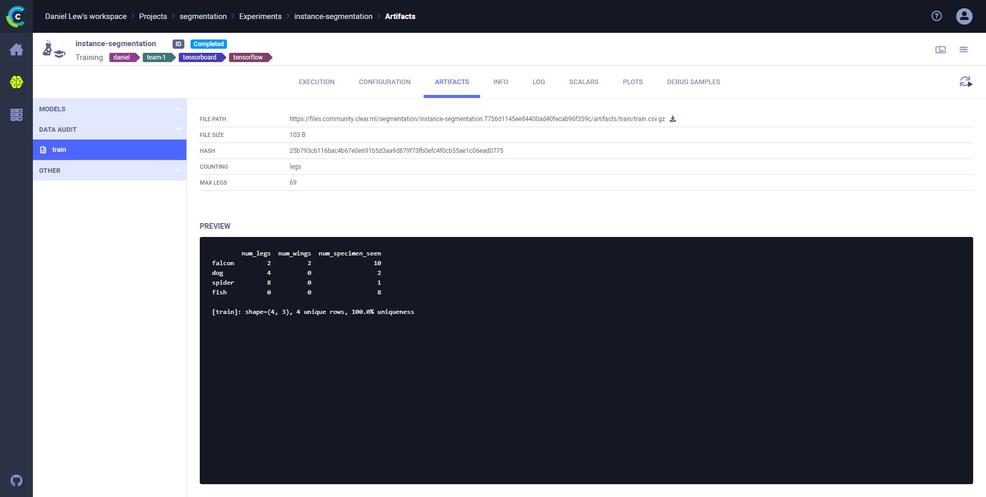 Data audit section