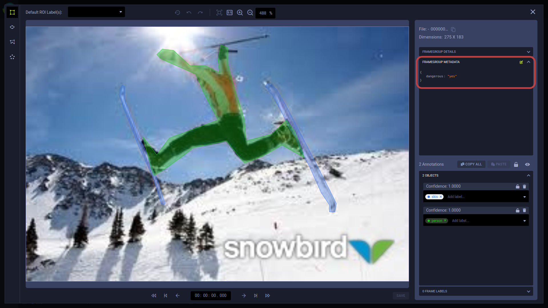 Frame metadata in frame viewer