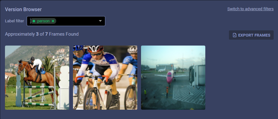Filtered version browser