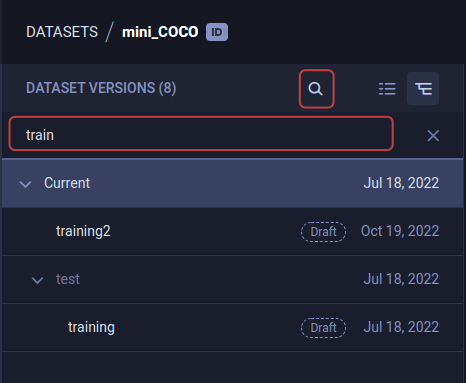 Dataset version search
