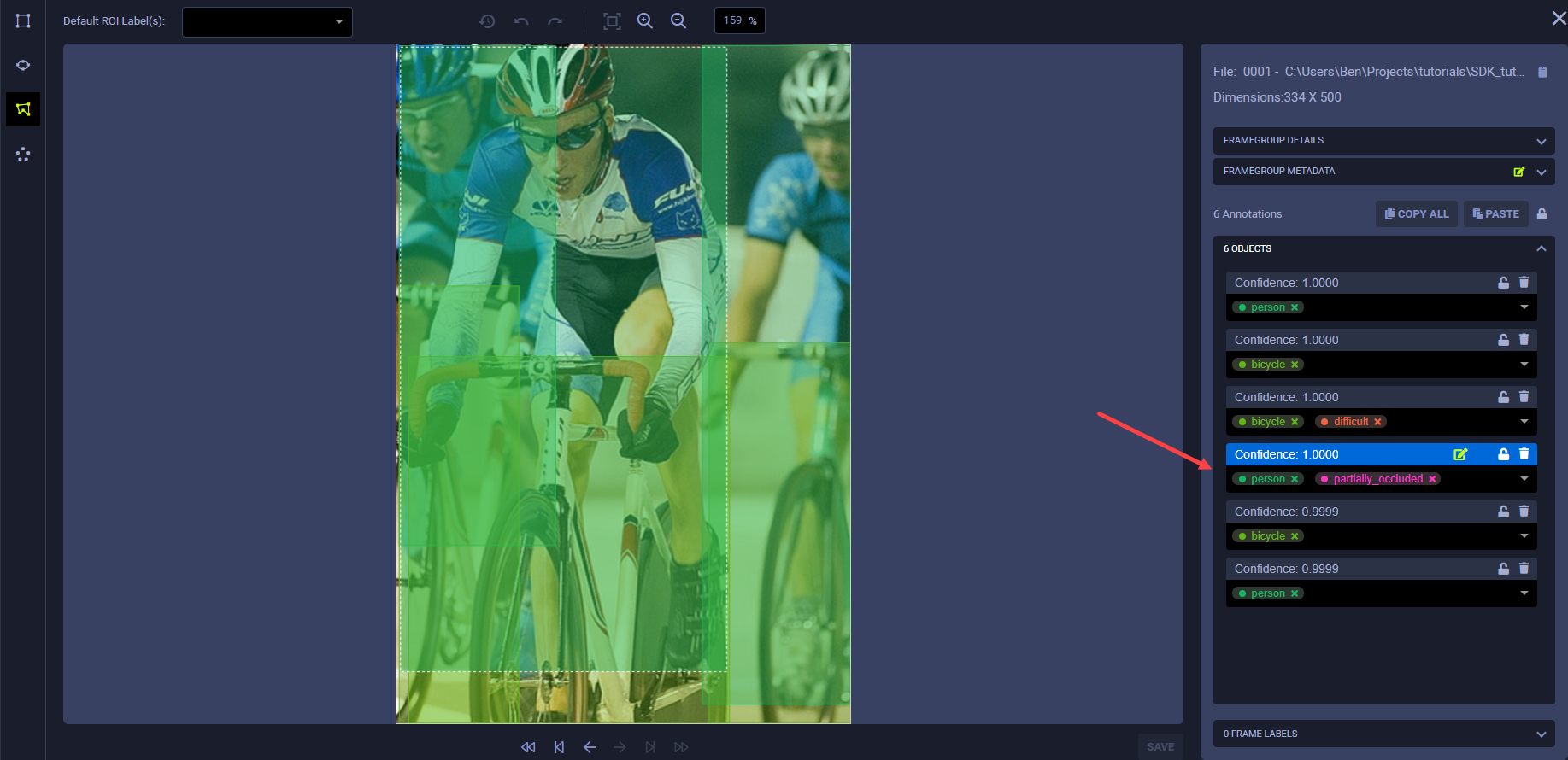 Labeled ROIs in frame viewer