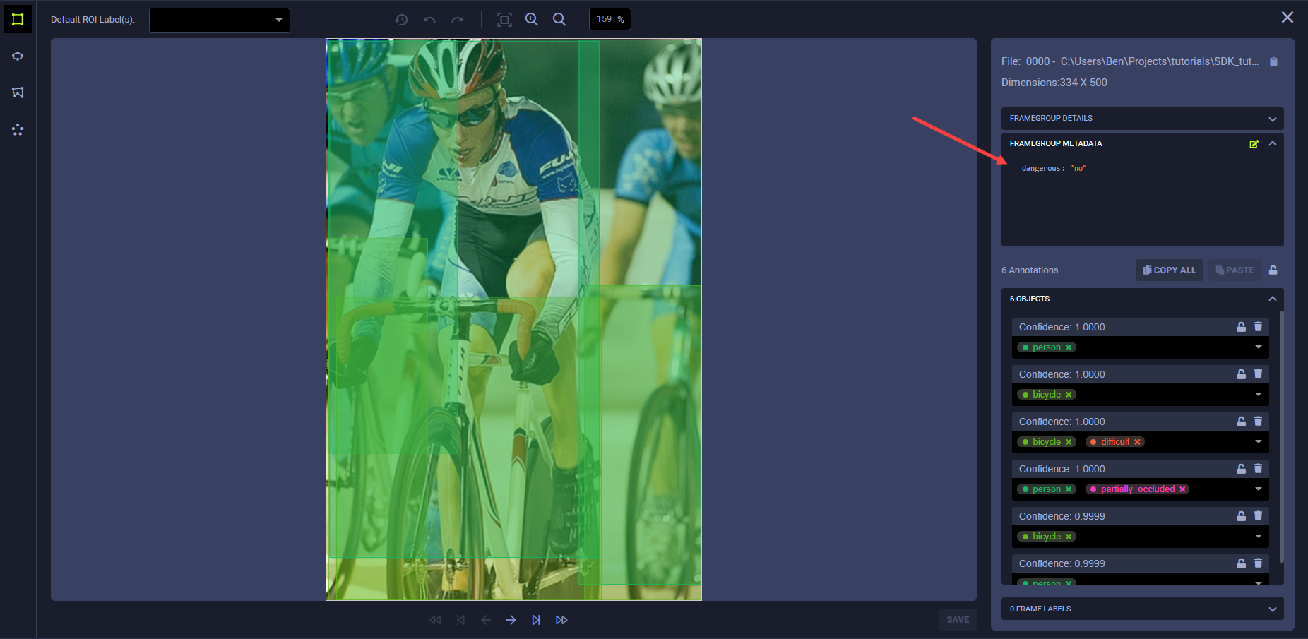 Frame metadata in frame viewer